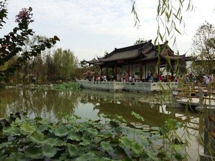 武汉园博园：荆楚文化的园林艺术瑰宝
