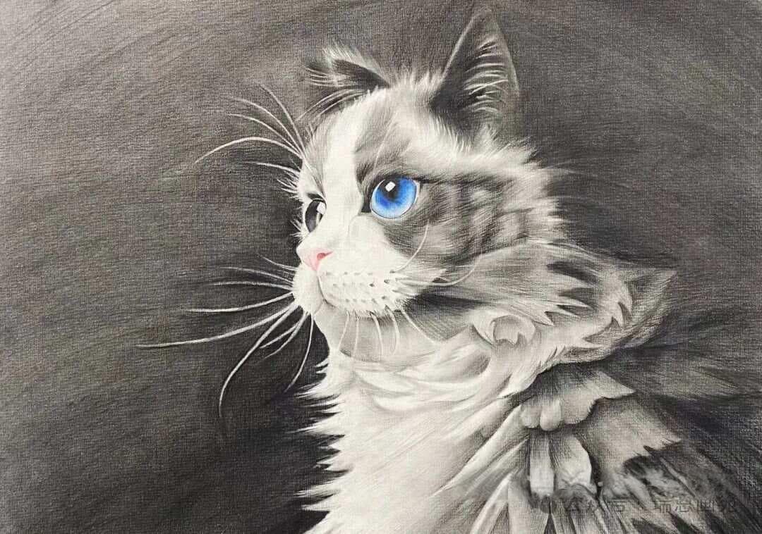 动物素描五大技法详解：从线条到整体表现