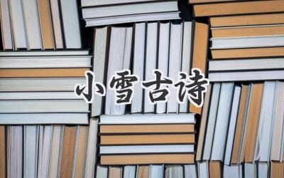 小雪节气里的诗情画意：古人如何描绘冬日雪景？