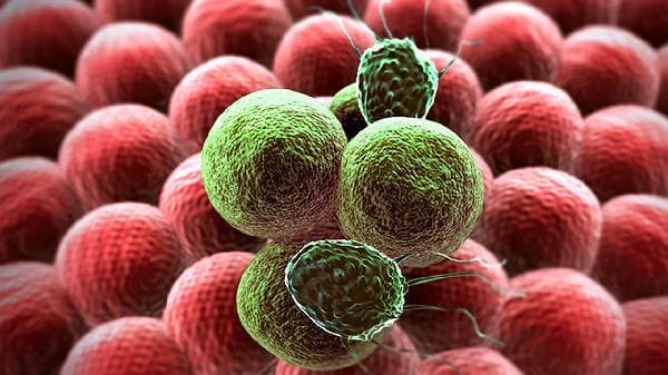 骨巨细胞瘤早期症状、诊断与治疗全解析
