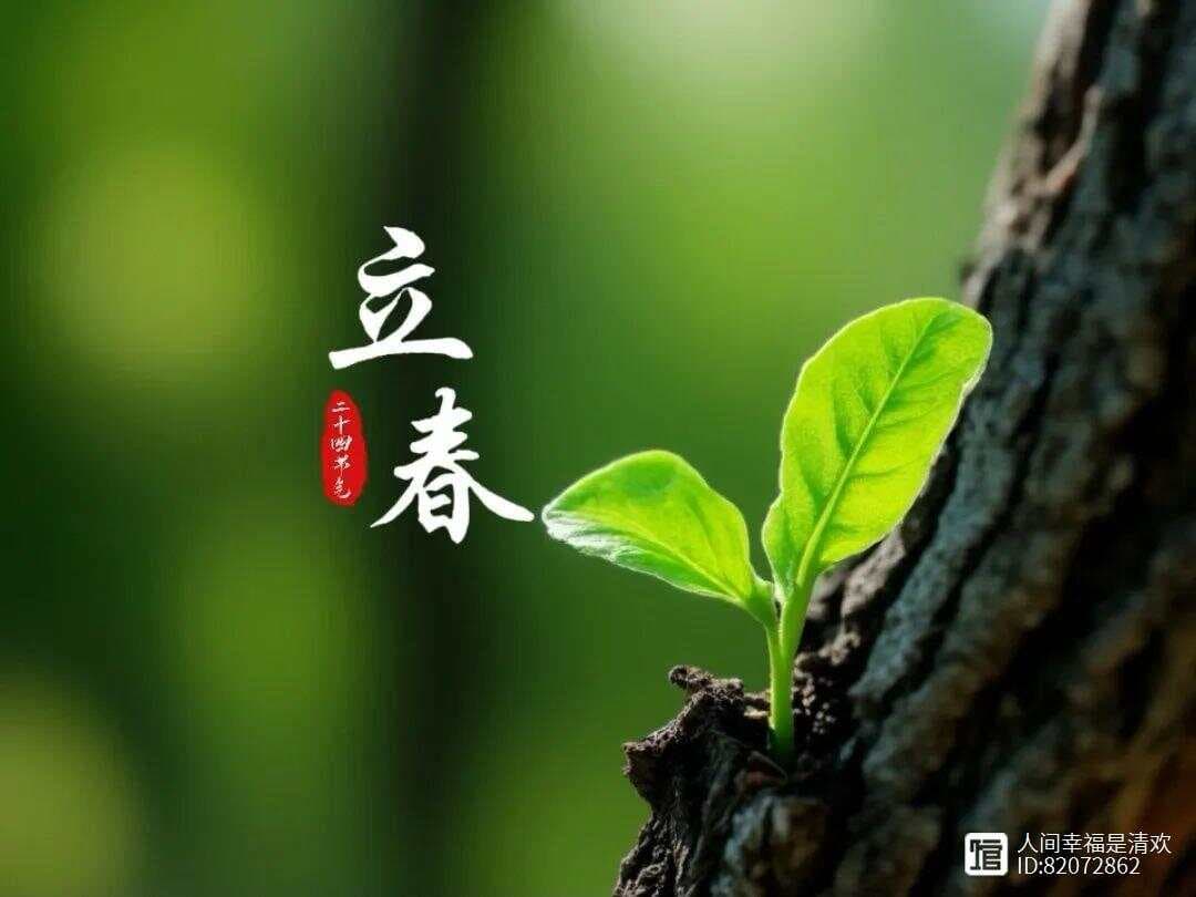 立春：四首经典的诗词，春光无限，你好，春天