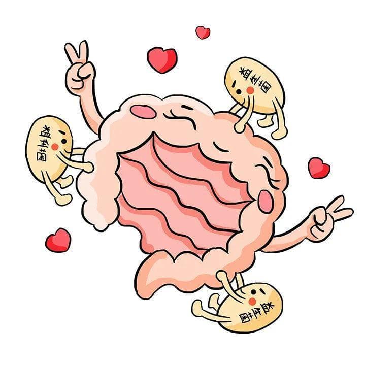 后生元：比益生菌更稳定的健康新选择