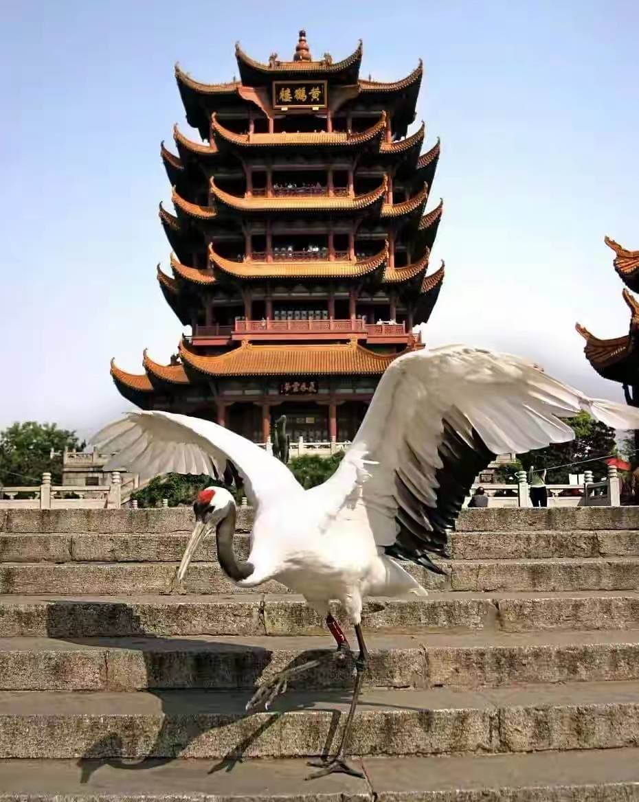 辅导员和班主任有什么区别？