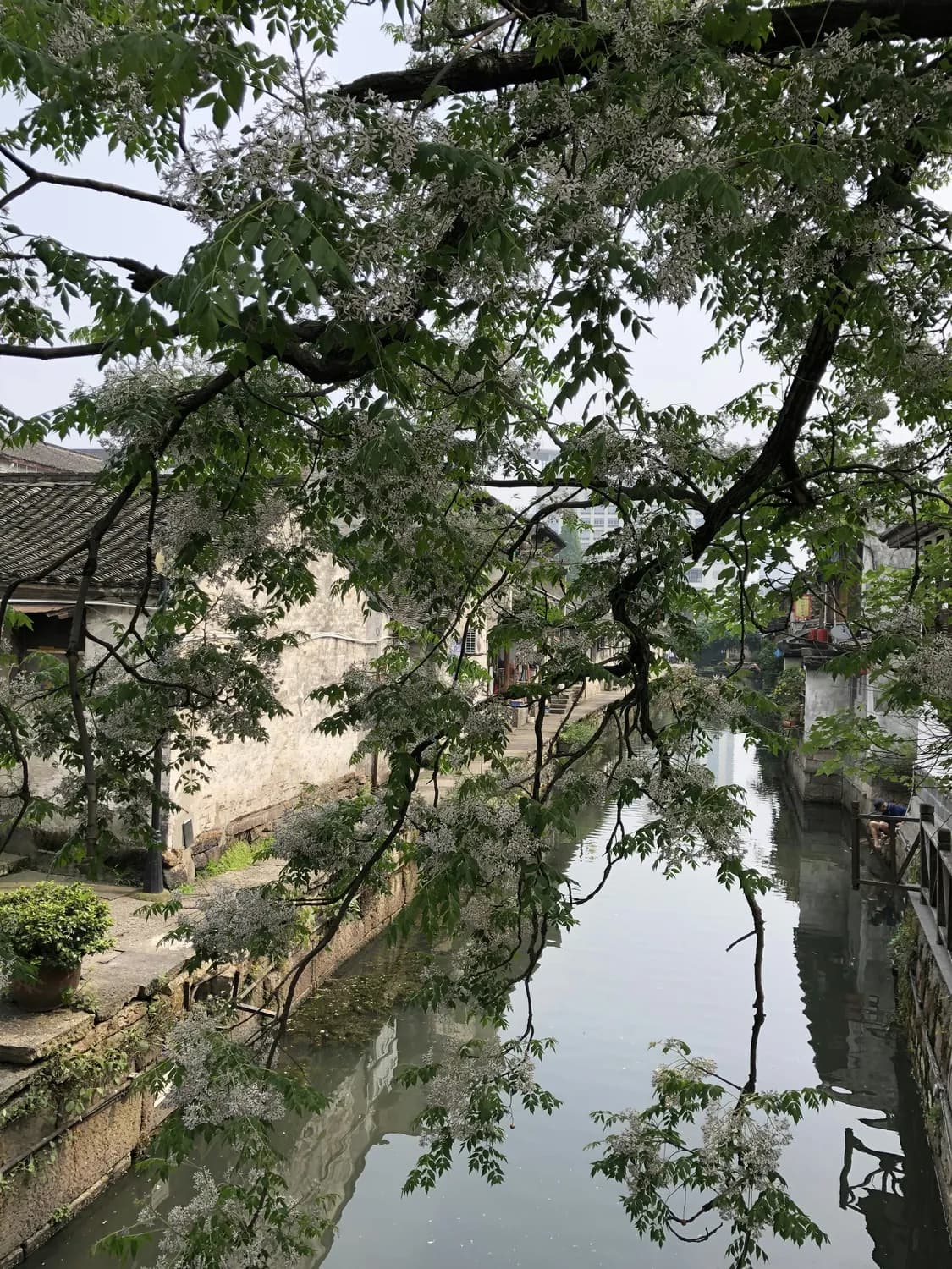 潮州古城的四季变换