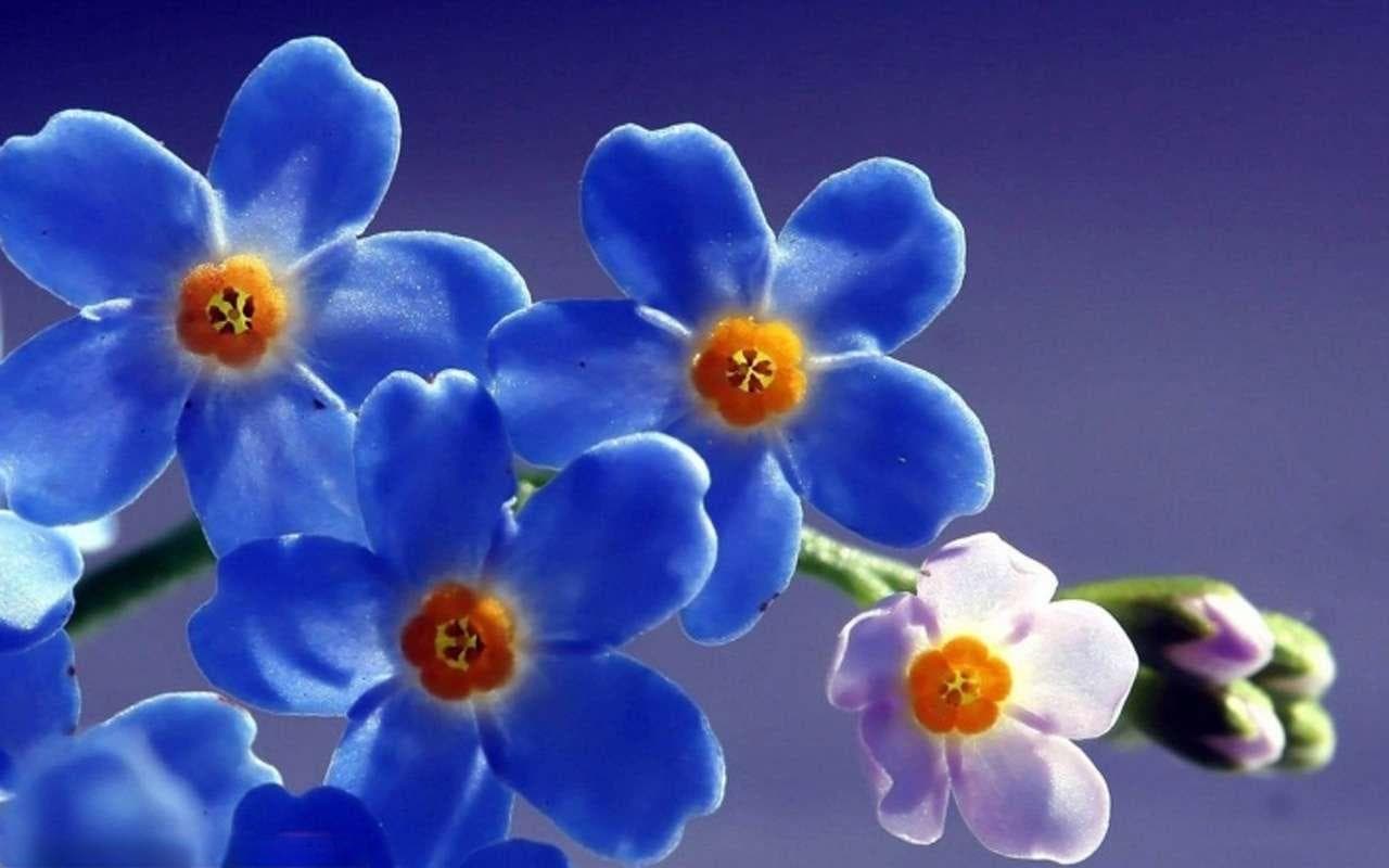 缓解焦虑症，这里有几招