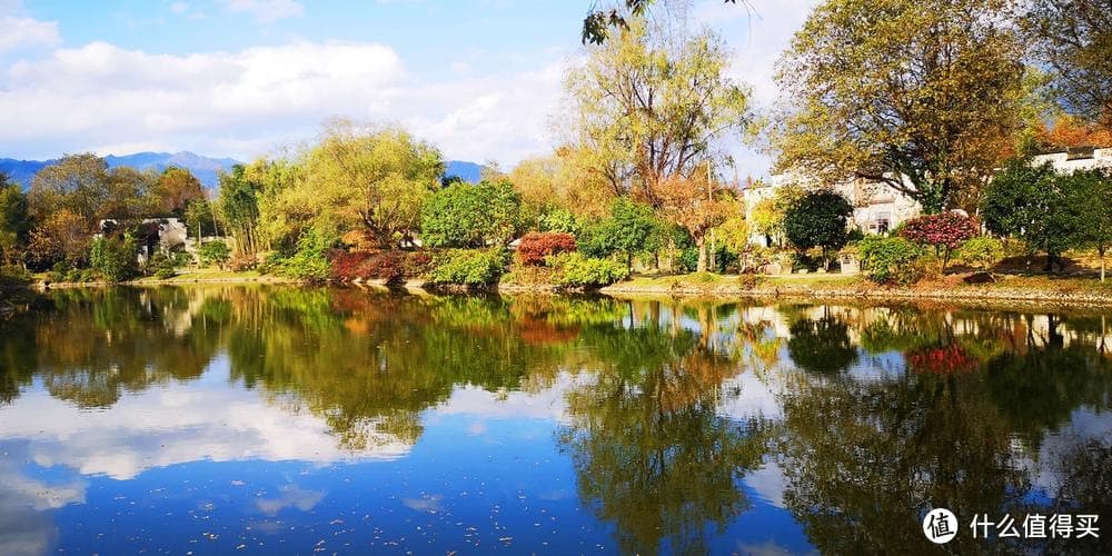 芝士年糕的制作技巧与营养价值分析