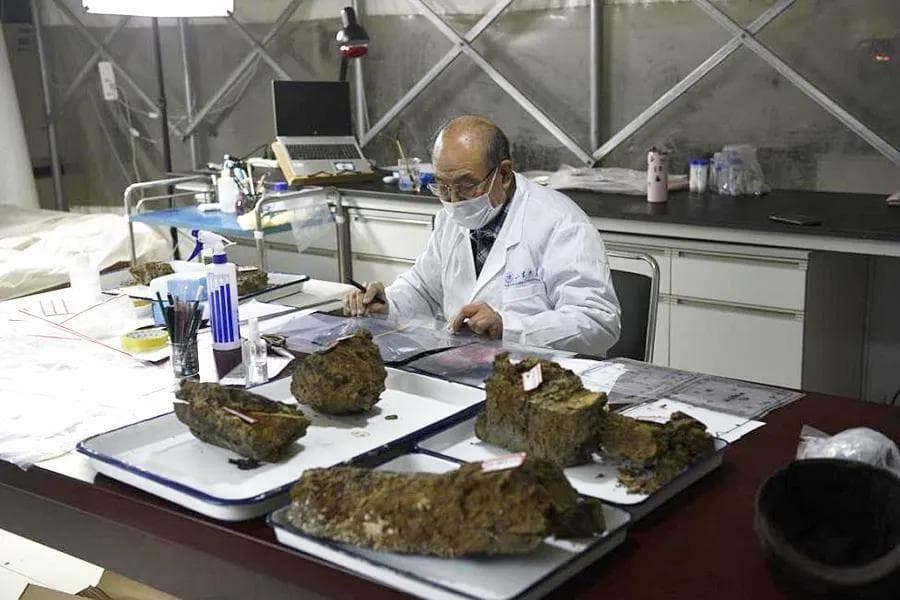 文物考古发崛前需要准备哪些工具、材料和设备？