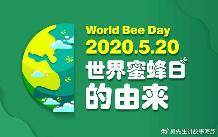 世界蜜蜂日：呼吁保护蜜蜂，维护生态平衡