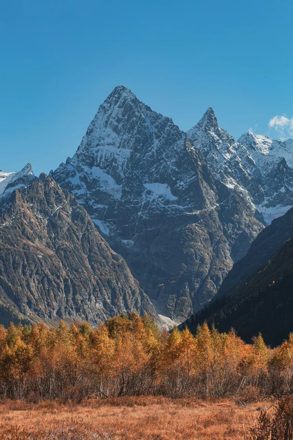 秋季玉龙雪山，打卡最美彩林