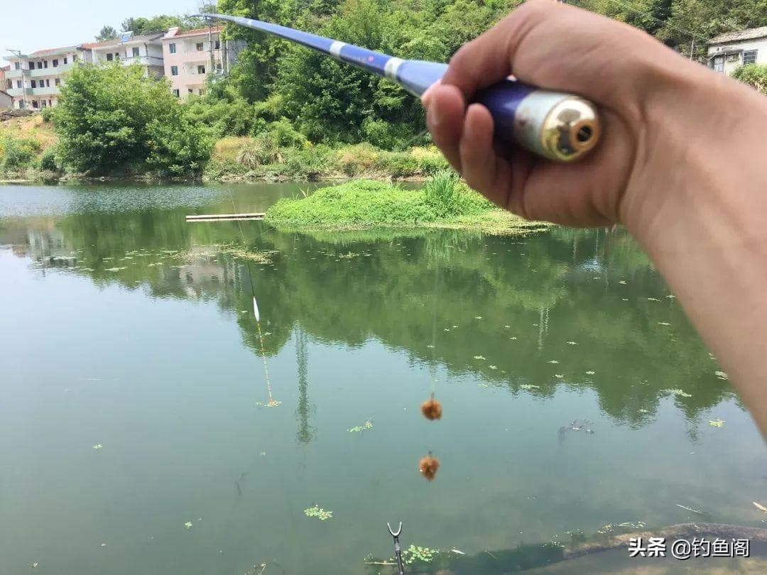 浮标的选择（浮漂就该这样选）