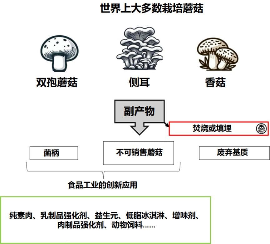 食用菌产业新动向：探索副产品利用与健康食品开发