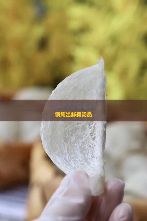 珐琅锅炖汤全攻略：炖煮技巧、食材选择与时间掌握，一锅炖出鲜美汤品