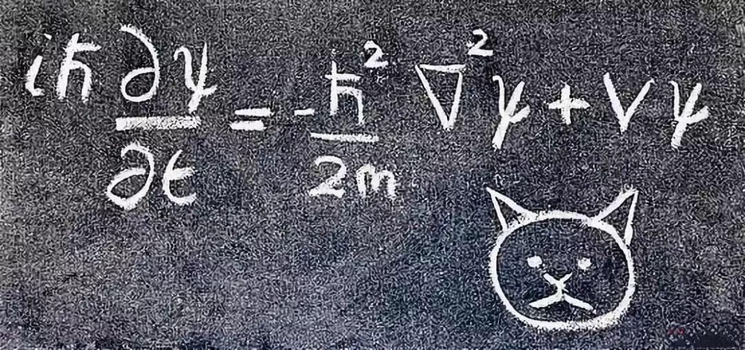 【经典力学与量子力学】：探索两种物理体系数值模拟的差异与联系