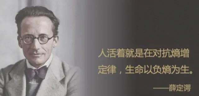 【现代科学沉思录】人们对熵增定律的评价