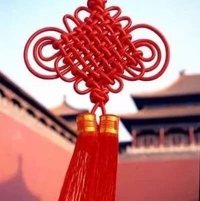 诗经观鸟：传统文化与现代设计的完美融合