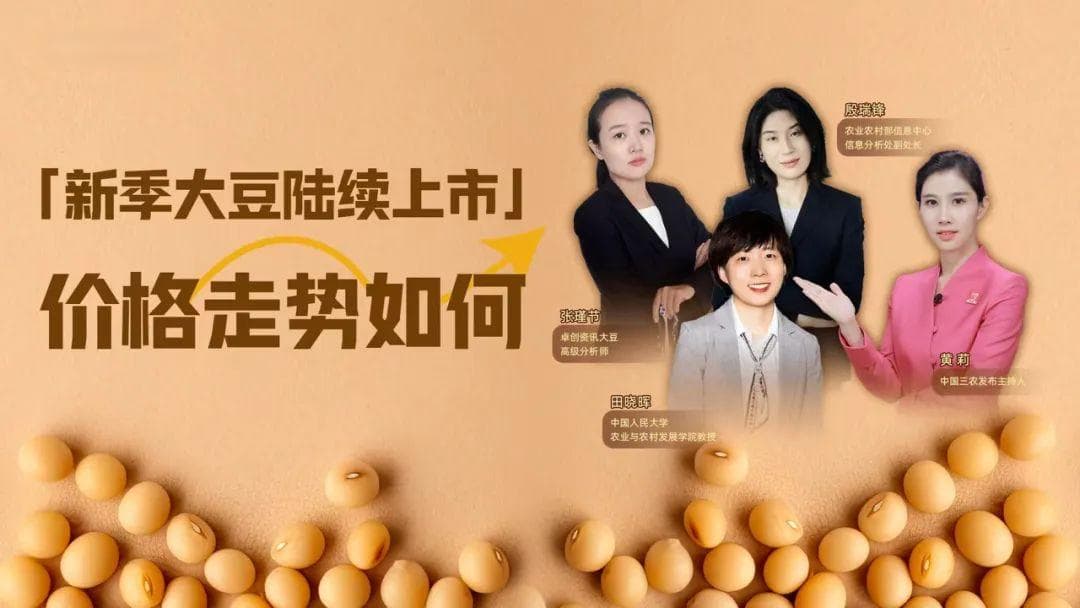 国产大豆产量达417亿斤创新高，价格企稳彰显竞争力