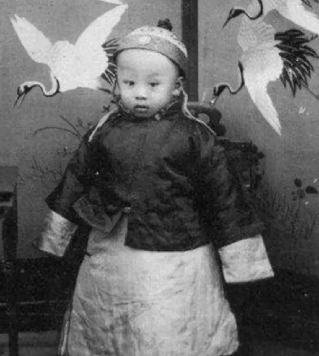 溥仪为何成为末代皇帝？