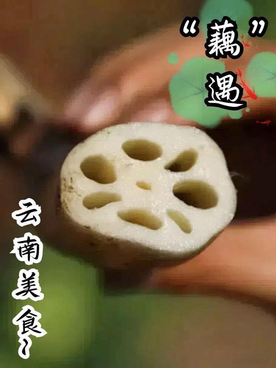 云南人用这些美味莲藕料理打败“秋老虎”