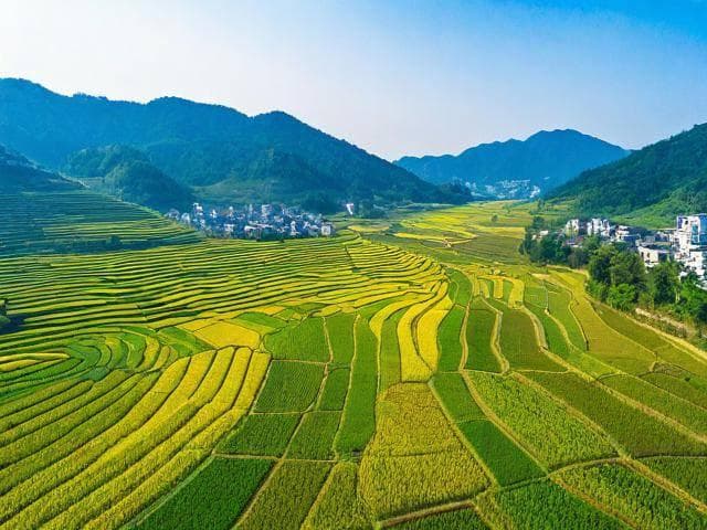 县域经济突围战：揭秘小城商户的私域流量生存法则