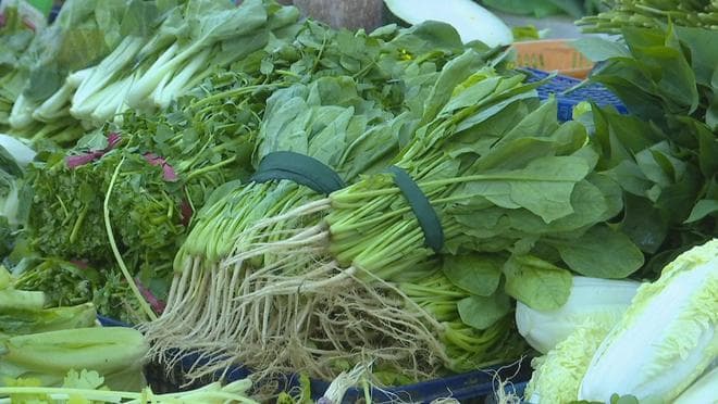 菠菜能致肾病？这些蔬菜焯水再食用更安全！