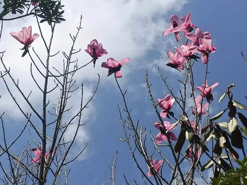 在大理，爱上生活