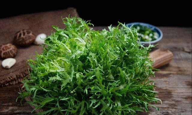 春季养生必备：四款苦菊食谱，清热解毒又美味