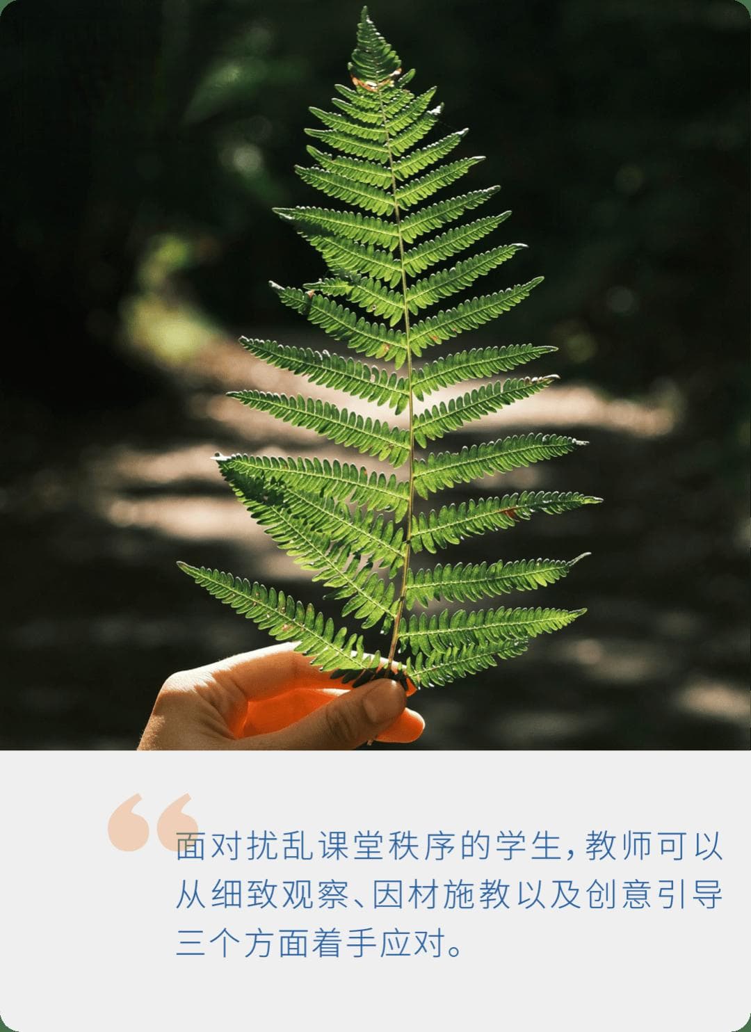 学生上课老爱“接话”，正确归因，让其“乖乖闭嘴”