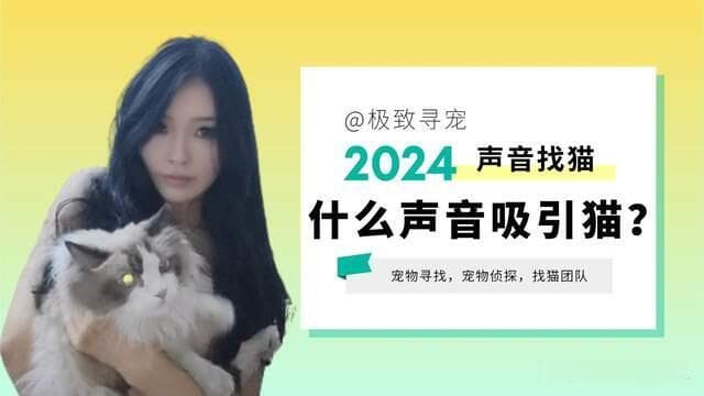 「宠物寻找团队」猫跑出去叫不回来？那么什么声音可以吸引猫咪？