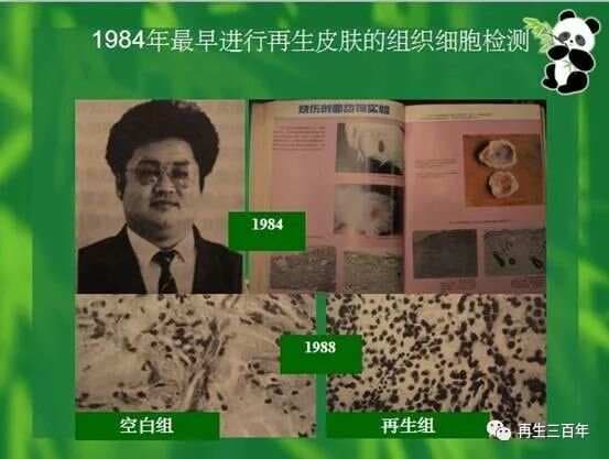 再生生命科学核心——潜能再生细胞PRC
