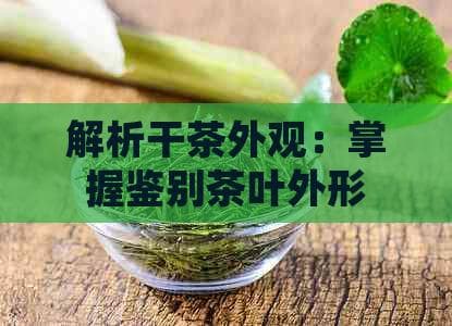 解析干茶外观：掌握鉴别茶叶外形的技巧