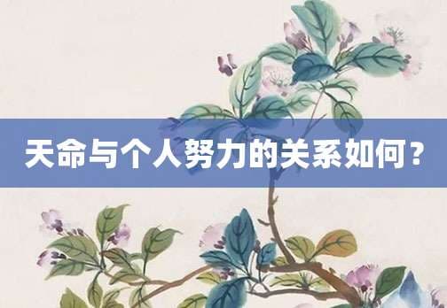 天命与个人努力的关系如何？