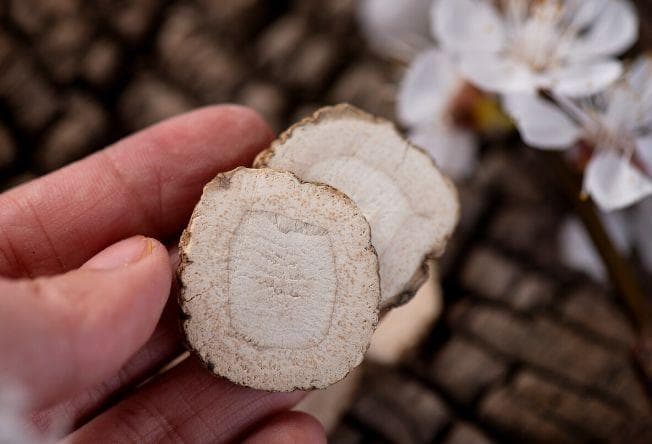中药白芷，用于湿疹、牛皮癣、黄褐斑等皮肤病，古代曾用来美容