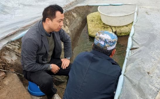 马友鱼：水产养殖新贵，未来可期
