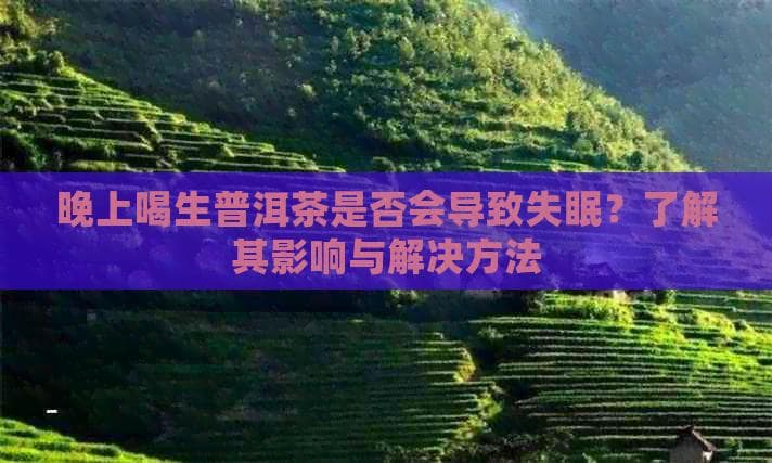 晚上喝生普洱茶是否会导致失眠？了解其影响与解决方法
