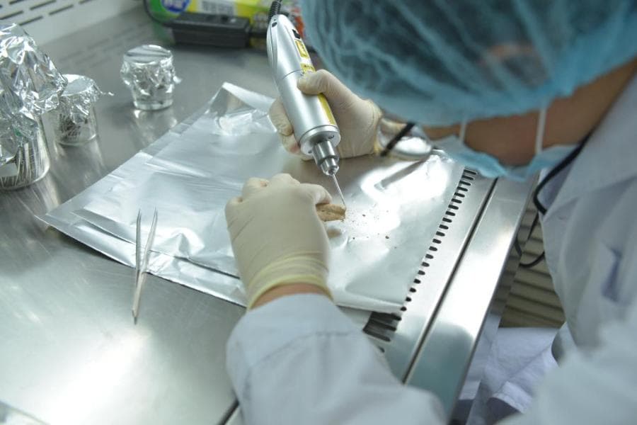 新研究刷新丹尼索瓦人最晚生存时间，揭示其在青藏高原的生存策略