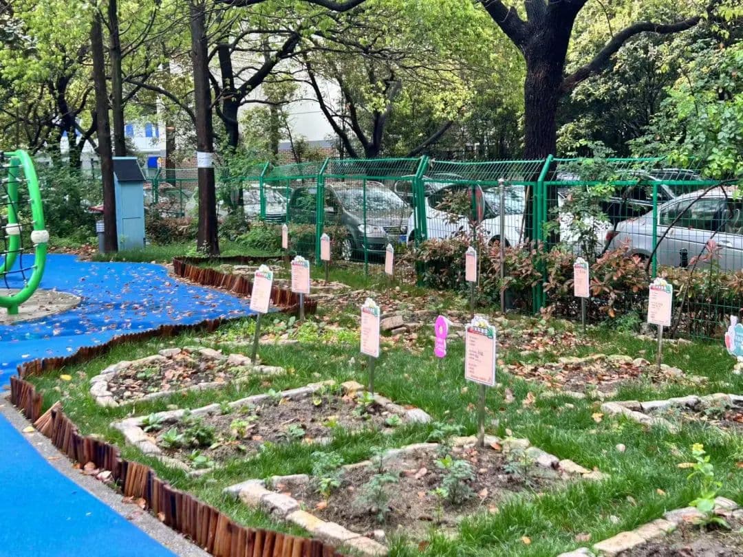 社区开辟“共享菜地”，家门口就能种菜→
