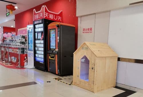 宠物寄存：如何选择合适的宠物寄存服务？国内知名宠物寄存机构排行榜