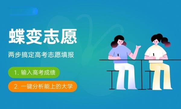 高考志愿填报：专业代码查询指南及注意事项