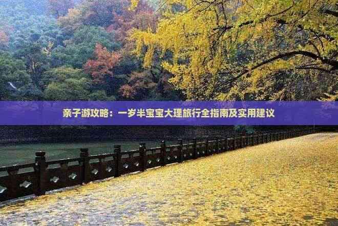亲子游攻略：一岁半宝宝大理旅行全指南及实用建议