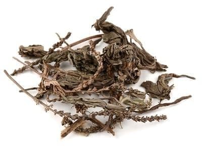 车前草：传统功效与现代应用