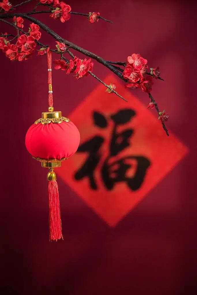 真正拖垮你的，是沉没成本