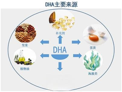 母婴科学补充DHA知多少