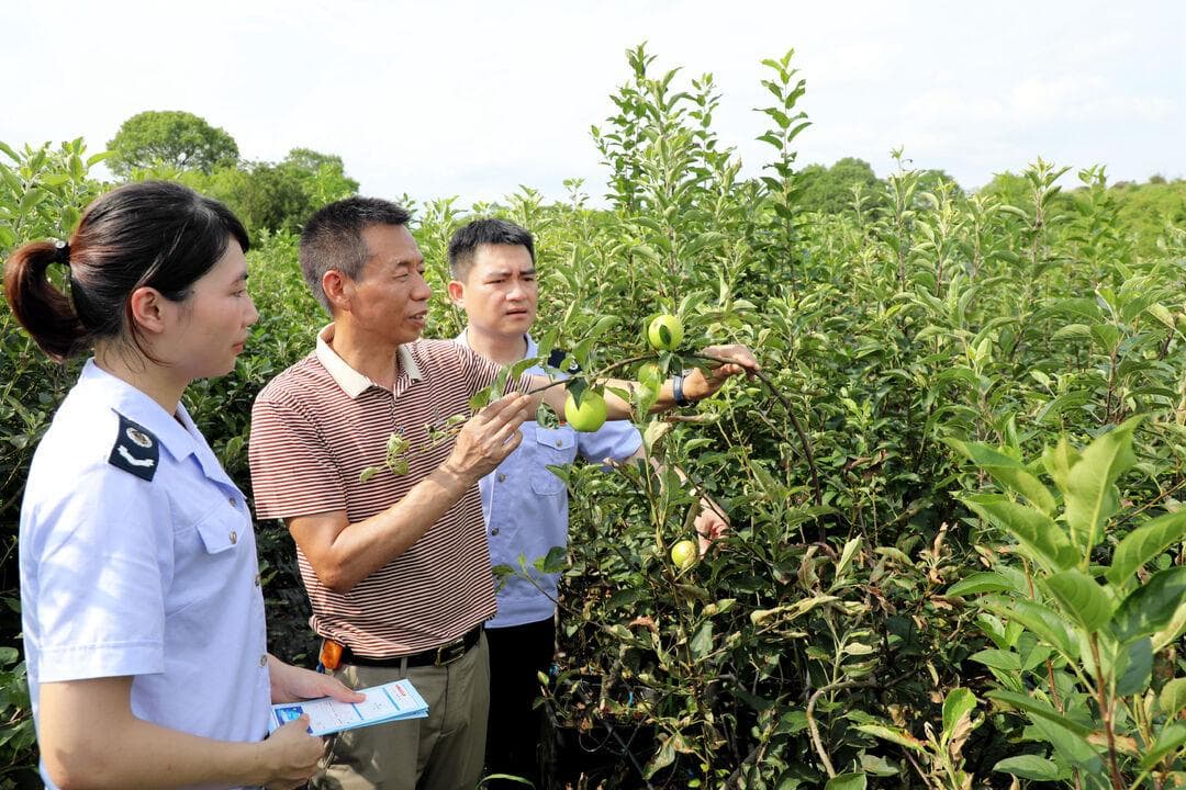 湖南：税惠"春雨"滋润小微企业发展成长
