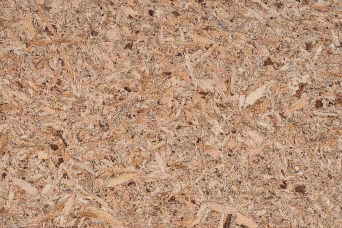 消灭家中常见昆虫的 10 种天然方法