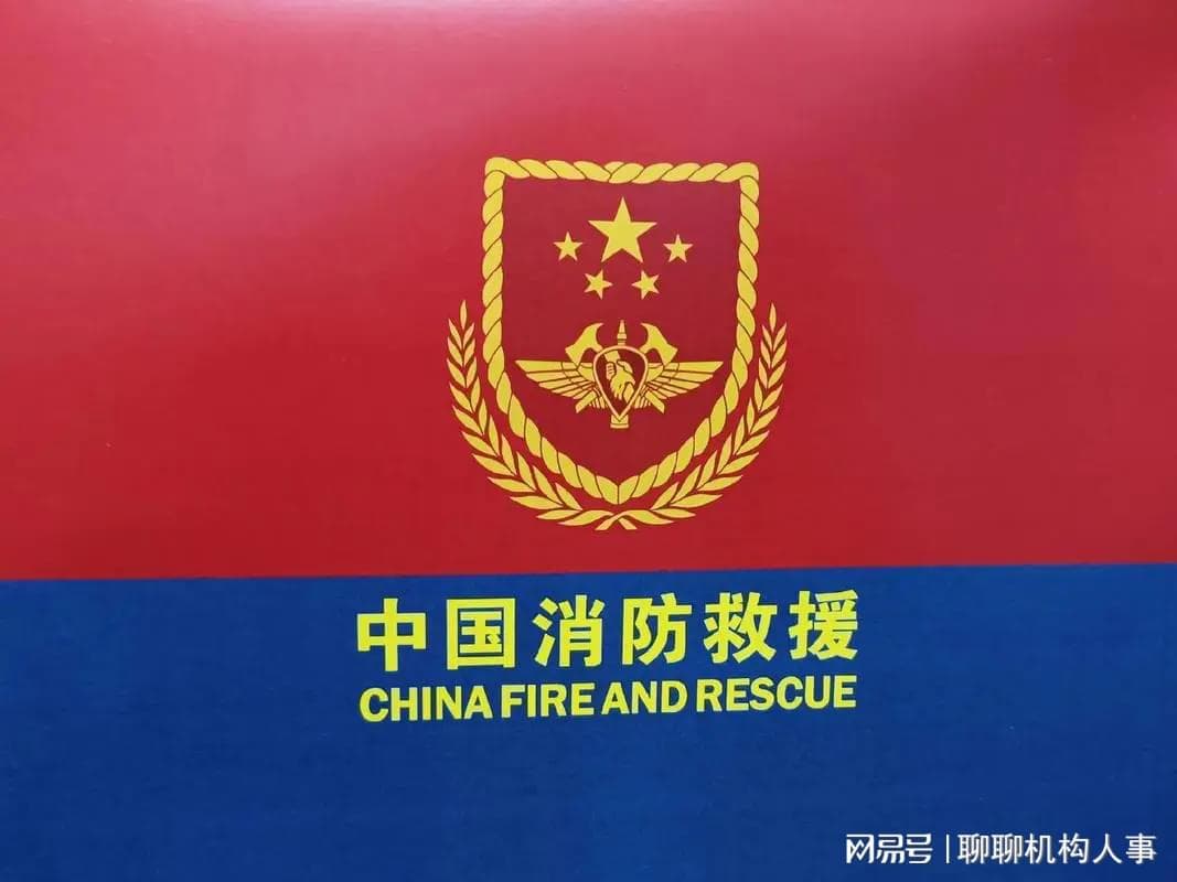 消防救援系统在机构设置上的总体架构是怎样的？