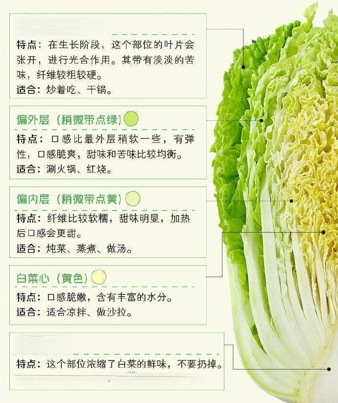 白菜维生素超柑橘，与豆腐搭配提升免疫力