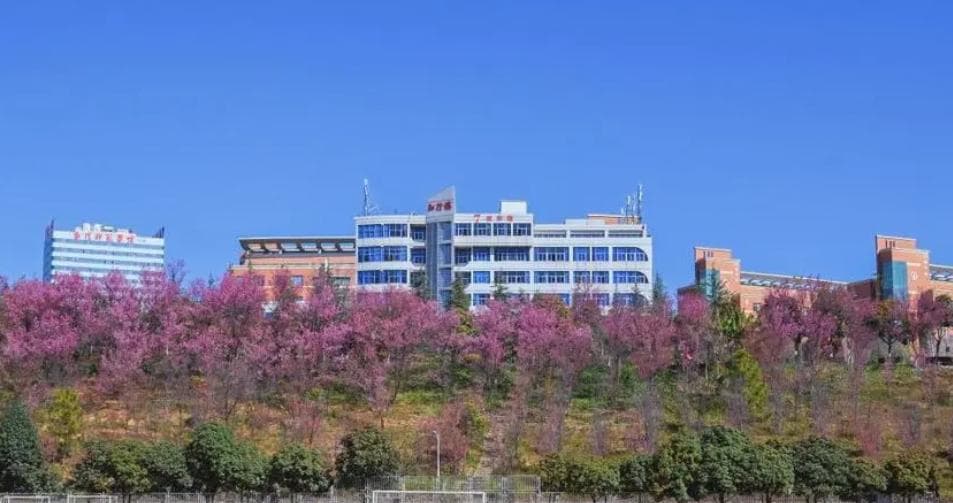 职教高考备考指南：从目标设定到健康管理的全方位攻略