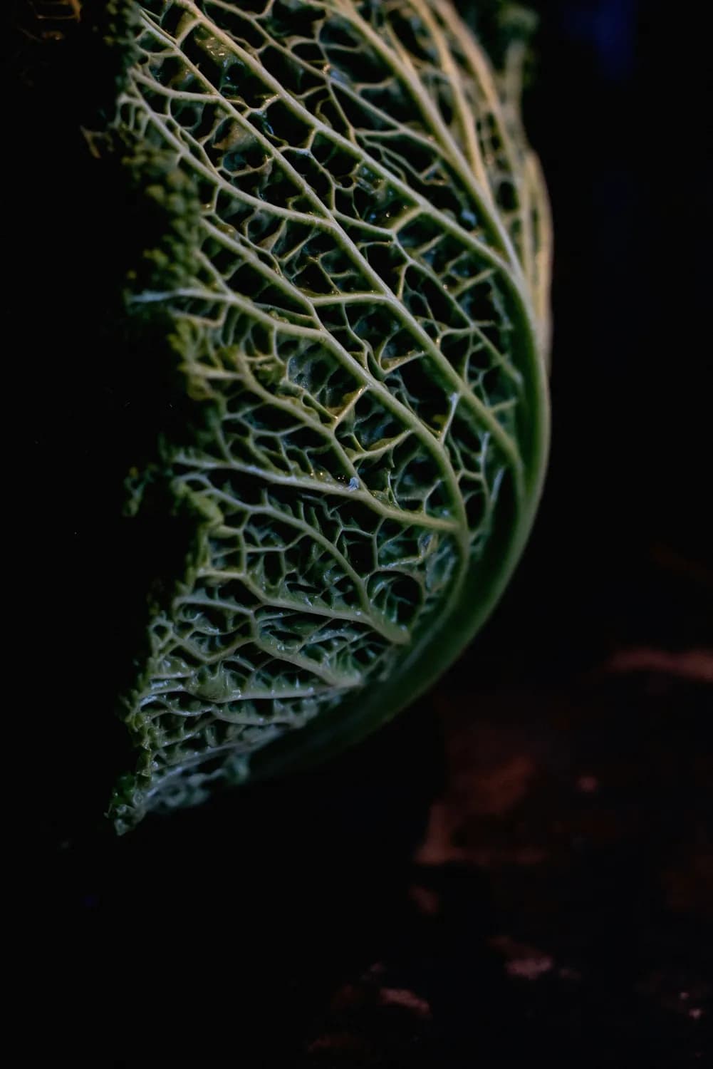 乾隆白菜：从皇宫到餐桌的历史传奇