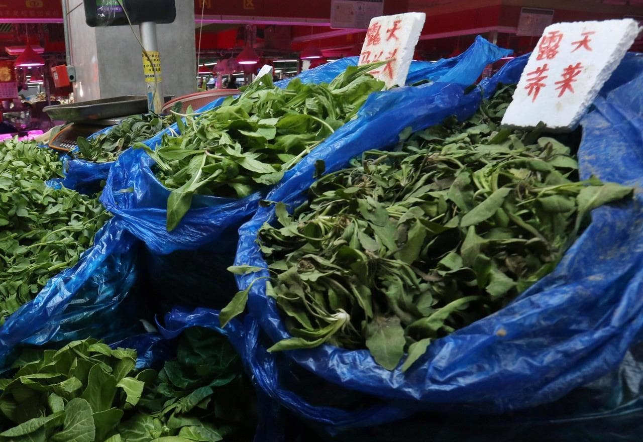 钙含量在蔬菜中“名列前茅” 它的好处竟然有这么多！