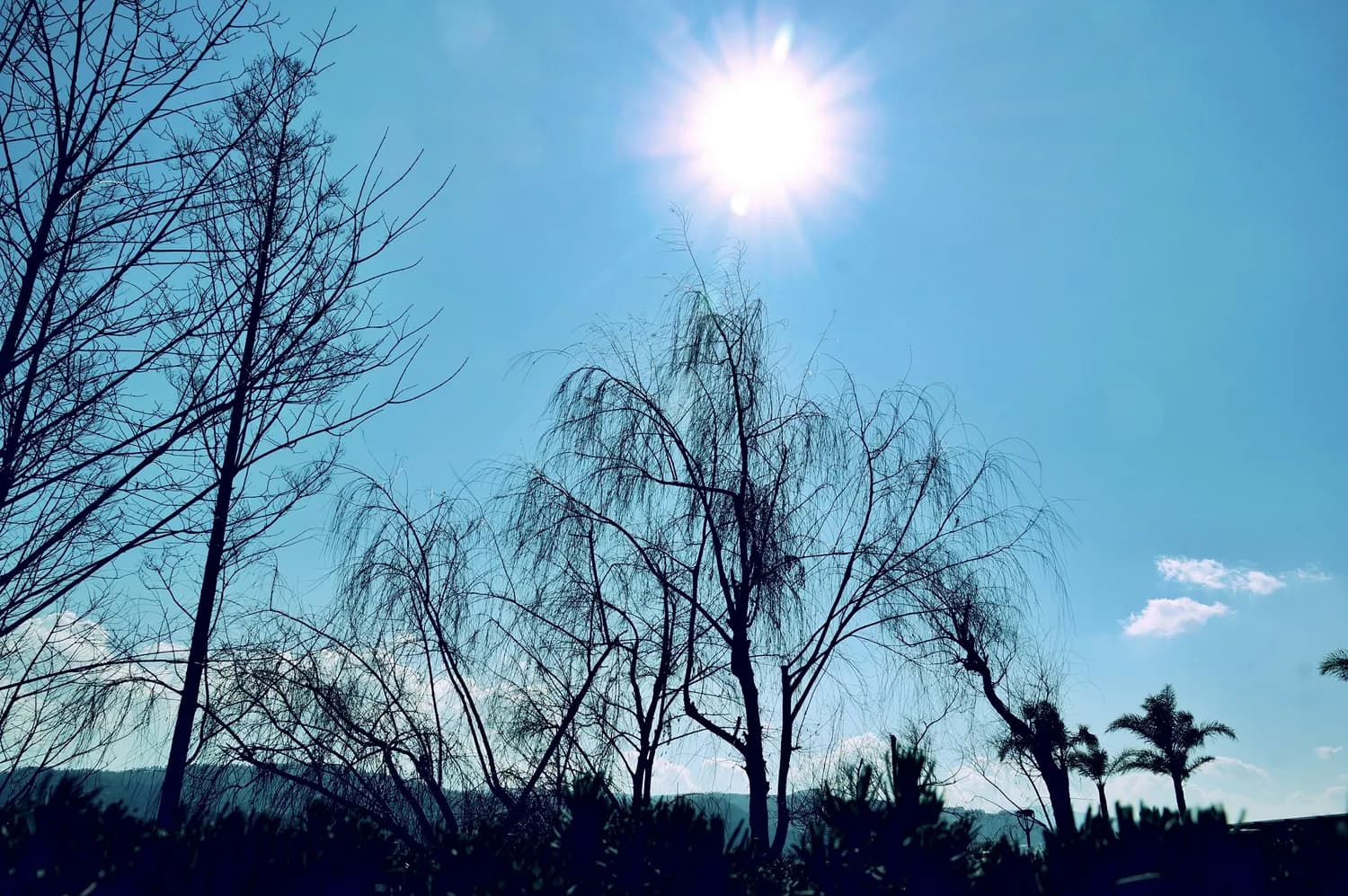 立春后的农事活动：如何应对乍暖还寒？
